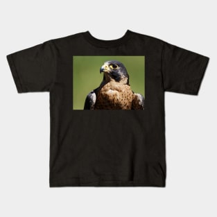 Peregrine Falcon Kids T-Shirt